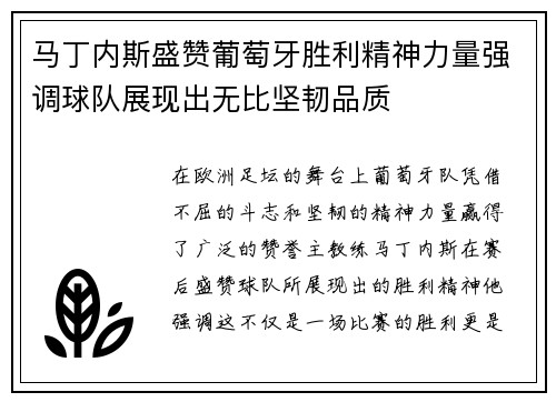 马丁内斯盛赞葡萄牙胜利精神力量强调球队展现出无比坚韧品质